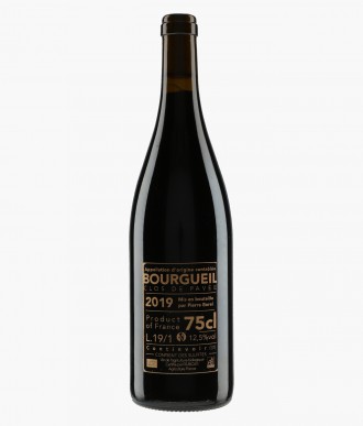 Wine Pierre Borel, Clos de Pavee Monopole, Bourgueil AOC, 2018, 750 ml  Pierre Borel, Clos de Pavee Monopole, Bourgueil AOC, 2018 – price, reviews