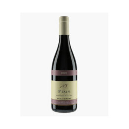 Fixin Poirier Gaillard 2020 | BURGUET NICOLAS
