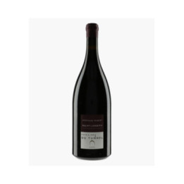 Saint-Joseph 2020 | DOMAINE DU TUNNEL