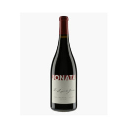Sangre | JONATA