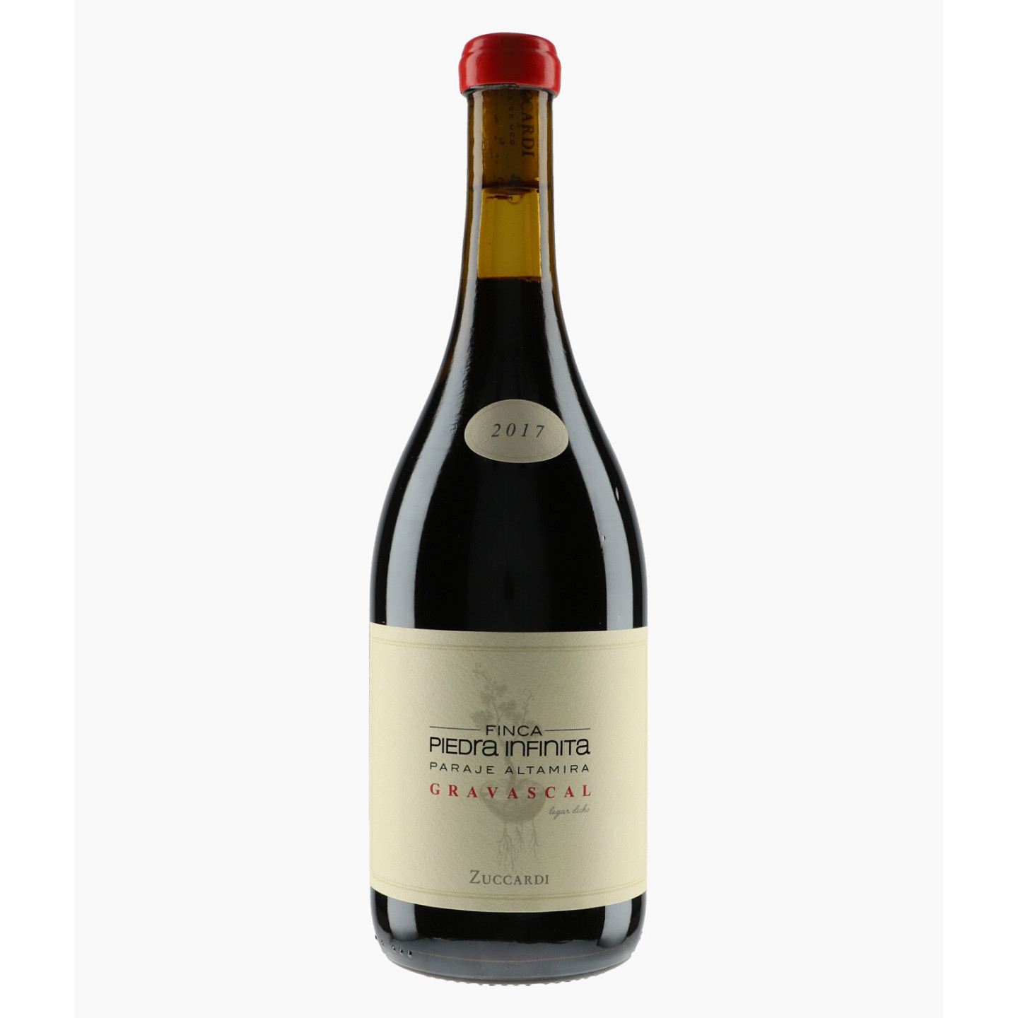 Infinita Gravascal 2017 | ZUCCARDI