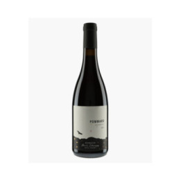 Pommard 312 2019 | CHAMPY BORIS