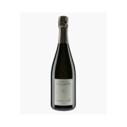 Champagne Extra-Brut A Travers Celles | SANDRIN ETIENNE