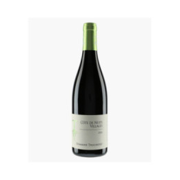 Côte de Nuits Villages | TRUCHETET