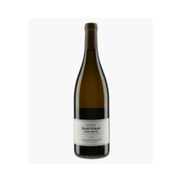 Santenay Sous Roche 2020 | BAVARD JACQUES