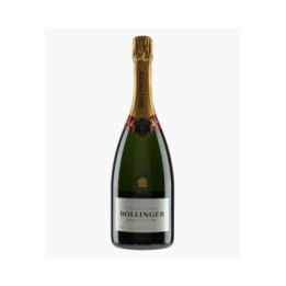 Champagne Spéciale Cuvée | BOLLINGER