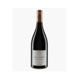 Gevrey-Chambertin 1er Cru Fonteny 2019 | PARCELLAIRES DE SAULX