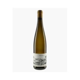 Riesling Schlossberg Grand Cru 2017 | TRAPET ALSACE