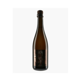 Sidre Brut 2021 | BORDELET ERIC