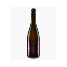 Sidre Brut Tendre 2021 | BORDELET ERIC
