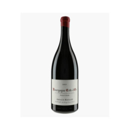 Bourgogne Côte d'Or Pinot Noir | BAILLOT ARNAUD