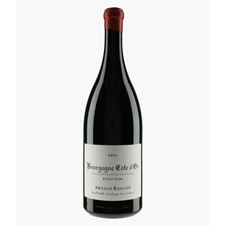 Bourgogne Côte d'Or Pinot Noir | BAILLOT ARNAUD