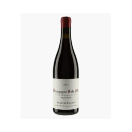 Bourgogne Côte d'Or Pinot Noir 2021 | BAILLOT ARNAUD