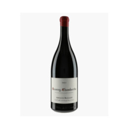Gevrey-Chambertin | BAILLOT ARNAUD