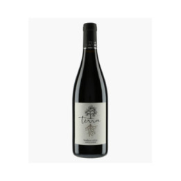 Terra Rouge 2021 | MOULIN DE GASSAC
