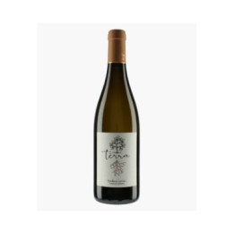 Terra Blanc 2022 | MOULIN DE GASSAC