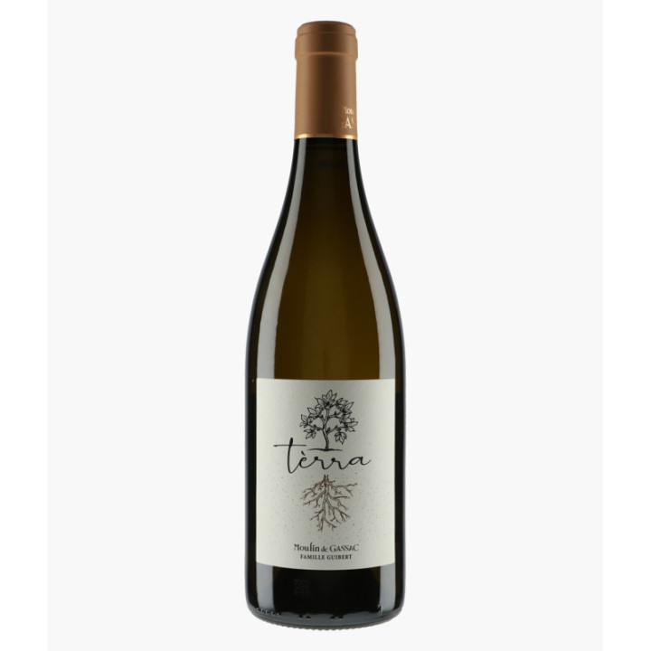 Terra Blanc 2022 | MOULIN DE GASSAC