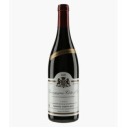 Bourgogne Côte d'Or Cuvée de Pressonnier 2020 | ROTY JOSEPH