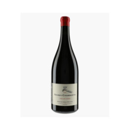 Gevrey-Chambertin Vieilles Vignes 2021 | MAGNIEN HENRI
