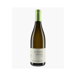 Bourgogne Pinot Blanc | TRUCHETET