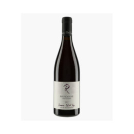 Bourgogne Pinot Noir 2021 | ROY ELODIE
