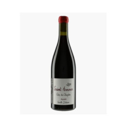 Saint-Amour Clos du Chapitre 2020 | FAMILLE DUTRAIVE