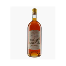 Château la Tour Blanche 1995 | CHÂTEAU LA TOUR BLANCHE