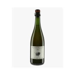 Mousses Sauvages Cueillettes d'Automne 2021 | MAISON ROMANE
