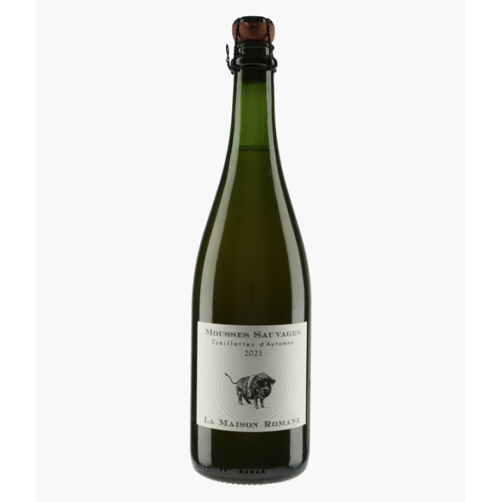 Mousses Sauvages Cueillettes d'Automne 2021 | MAISON ROMANE
