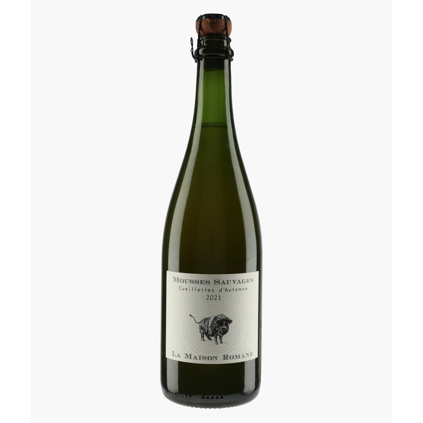 Mousses Sauvages Cueillettes d'Automne 2021 | MAISON ROMANE