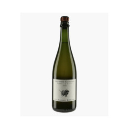 Mousses Sauvages Pomme à Cidre 2021 | MAISON ROMANE