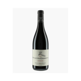 Ruchottes-Chambertin Grand Cru 2021 | MAGNIEN HENRI