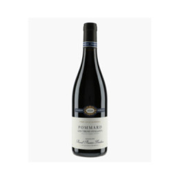 Pommard Les Trois Follots 2020 | PRUNIER-BONHEUR