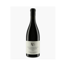 Gevrey-Chambertin 1er Cru Champeaux 2021 | GIRARDIN PIERRE