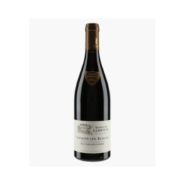 Savigny-les-Beaune Aux Grands Liards 2021 | LEBREUIL PIERRE & J-B
