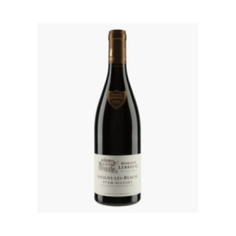 Savigny-les-Beaune 1er Cru Aux Clous 2021 | LEBREUIL PIERRE & J-B