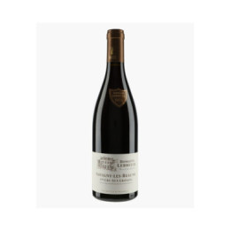 Savigny-les-Beaune 1er Cru Aux Gravains 2021 | LEBREUIL PIERRE & J-B
