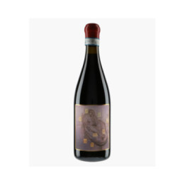 Boggina C Riserva Val d'Arno di Sopra 2019 | FATTORIA PETROLO