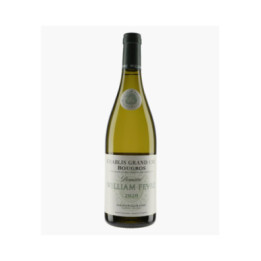 Chablis Grand Cru Bougros | FEVRE WILLIAM