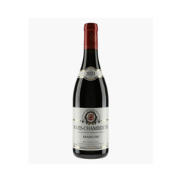 Mazis-Chambertin Grand Cru 2021 | HARMAND-GEOFFROY