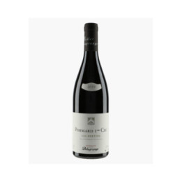 Pommard 1er Cru Les Bertins 2019 | DELAGRANGE HENRI