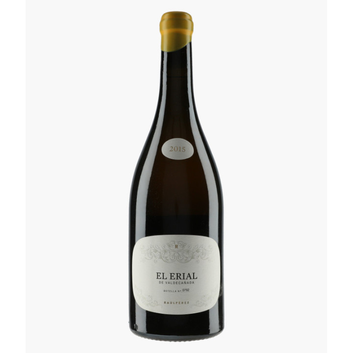 El Erial de Valdecanada 2015 | PEREZ RAUL