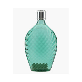 Eau de Vie de Sureau Noir Schwarzer Holunder 2012 | ROCHELT
