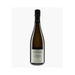 Champagne Le Terroir Grand Cru Verzy | RENOIR ADRIEN