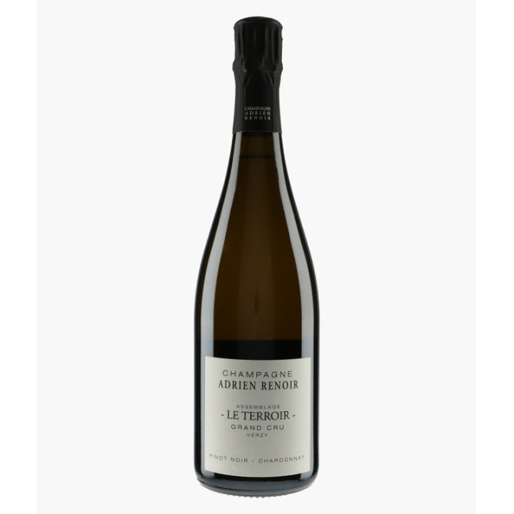Champagne Le Terroir Grand Cru Verzy | RENOIR ADRIEN