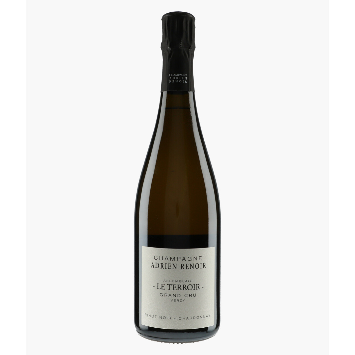 Champagne Le Terroir Grand Cru Verzy | RENOIR ADRIEN