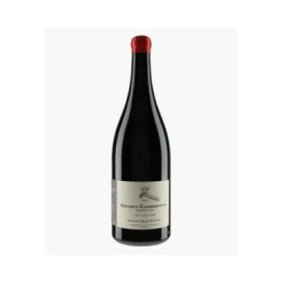 Gevrey-Chambertin 1er Cru Les Cazetiers 2021 | MAGNIEN HENRI
