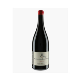 Ruchottes-Chambertin Grand Cru 2021 | MAGNIEN HENRI