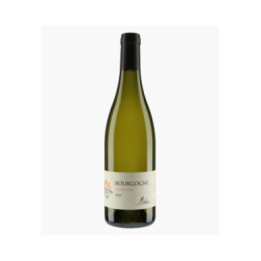 Bourgogne 2021 | MERLIN