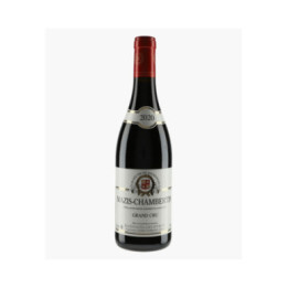 Mazis-Chambertin Grand Cru 2020 | HARMAND-GEOFFROY
